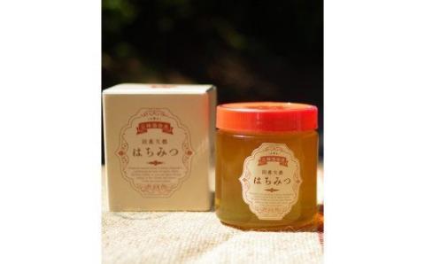 N-225 太良町産　はちみつ（みかん蜜）600g