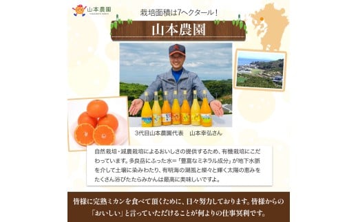 山本農園の大玉みかん 4.5kg 温州みかん 早生 温州 みかん ミカン 蜜柑 温州蜜柑 温州ミカン フルーツ くだもの 果物 ミネラル豊富 太良町 国産 贈答用