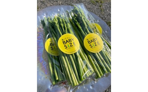BABYサイズ 森のアスパラ 120g×4袋 朝採れ 根元部分カット済 冷蔵 すぐに食べられる アスパラガス アスパラ 佐賀県 太良町