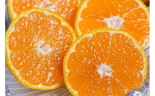 潮風の贈り物 みかん（小玉) ５㎏　みかん ミカン 蜜柑 温州みかん 完熟みかん 甘熟 柑橘 有機栽培 国産 佐賀県産 太良町 こだわり 贈答品 産地直送 詰め合わせ 小玉