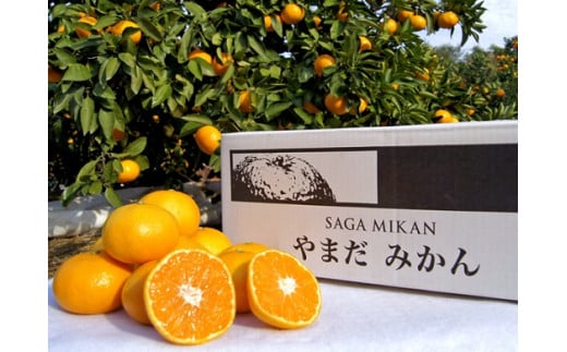 やまだ果樹園の完熟みかん　５ｋｇ　みかん ミカン 蜜柑 柑橘 たらみかん 太良みかん 温州みかん 完熟みかん 国産 佐賀県産 太良町 こだわり 産地直送 贈答品 詰め合わせ セット 小玉 大玉 甘熟 極甘