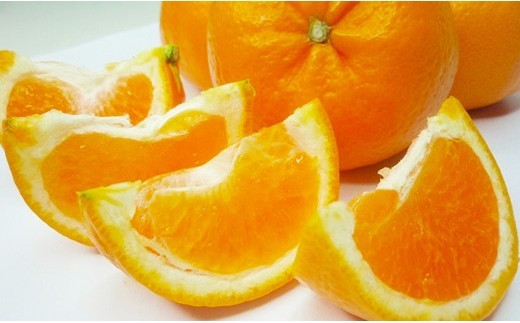 かねひろの黒酢みかん（小玉）5kg