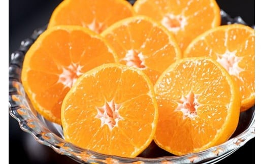 新宮みかん園 完熟早生みかん（S～L）５kg