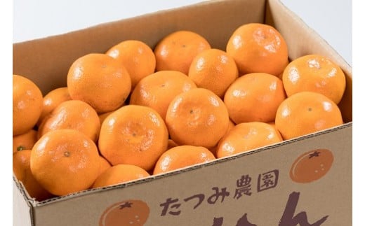 辰見農園の完熟みかん（小玉）５ｋｇ
