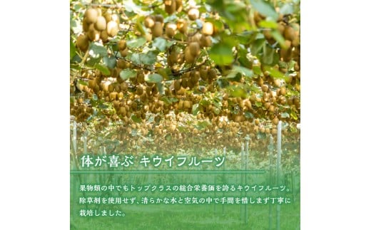 LB-12 体が喜ぶ☆キウイフルーツ