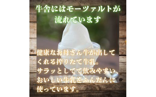 しぼりたて生乳で作った濃厚ミルクジェラート 3個セット  ジェラート シャーべット アイスクリーム アイス 生乳 ミルク ジェラート クリーミー デザート 氷菓子 スイーツ 濃厚 冷凍 佐賀県 太良町