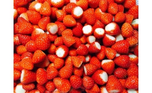 冷凍いちご ２ｋｇ
