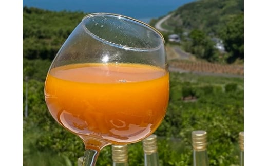 N-118 山本農園のお楽しみ無添加ジュース ３本セット