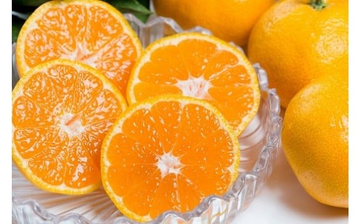 潮風の贈り物 みかん 10kg みかん ミカン 蜜柑 たらみかん 太良みかん 温州みかん 完熟みかん 甘熟 柑橘 有機栽培 国産 佐賀県産 太良町 こだわり 贈答品 産地直送 詰め合わせ 極甘