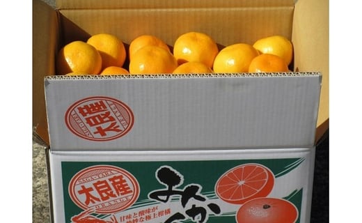 N-49 峰下農園の完熟みかん　１０ｋｇ