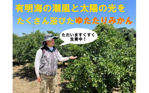 NB-14　峰農園のゆたたりみかん【石地みかん】10kg