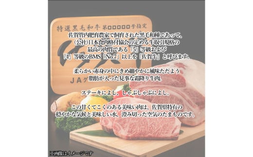 佐賀牛ハンバーグプレーン真空個包装 14個 佐賀牛100％ 国産牛 和牛 佐賀牛 ブランド牛 牛肉 肉 高級 ハンバーグ おかず 夕飯 人気 おすすめ 簡単調理 レンジ調理 冷凍 真空パック 個包装 佐賀県 太良町