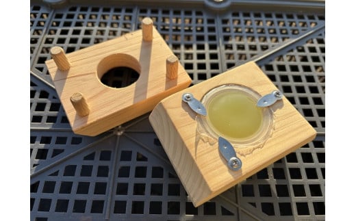 国産ヒラタクワガタ　ペア　特製えさ皿2個付き