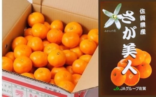 O-95 たらみかん「さが美人」5kg