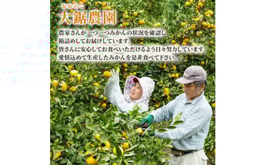 大鋸農園の早穫り甘果坊 １０kg  みかん 蜜柑 太良みかん 温州みかん 果物 フルーツ 甘い 早穫り 柑橘 ノーワックス 果実 くだもの 柑橘類 佐賀県 太良町