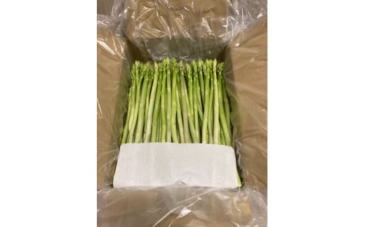 P-113 朝採れアスパラガス2kg 朝採れ即発送「明日はパラダイス」