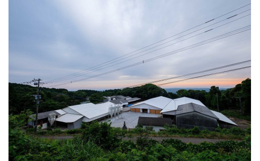 P-40 佐賀牛ステーキ　150ｇ×2枚 【2025年12月1日までの入金で年内発送】