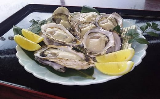 海男の殻付き牡蠣　２０個