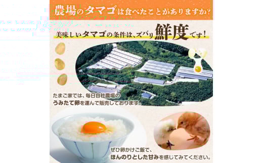 PF-1 【3ヶ月定期便】たまご家のハーブ卵（笑顔）30個