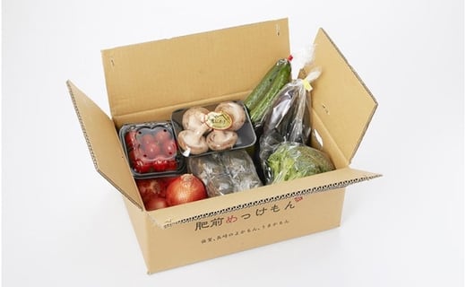 Q-49 【6回定期便】鮮度抜群！肥前の国のお野菜詰め合わせセット（8～10品目）