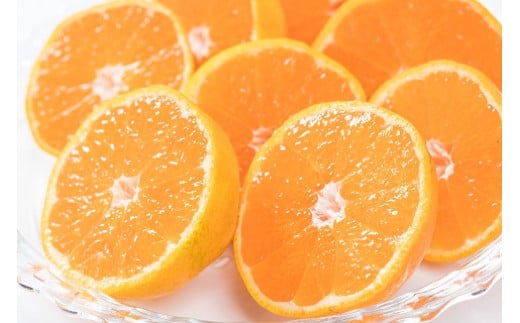 新宮みかん園のお楽しみ定期便　３回コース