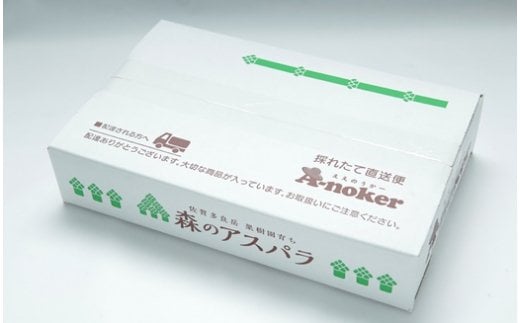 【令和7年3・4・6・7月発送】採れたて直送！ 「森のアスパラ」 定期便 4回コース グリーンアスパラ 1.1kg 4回発送 アスパラガス アスパラ 佐賀県 太良町