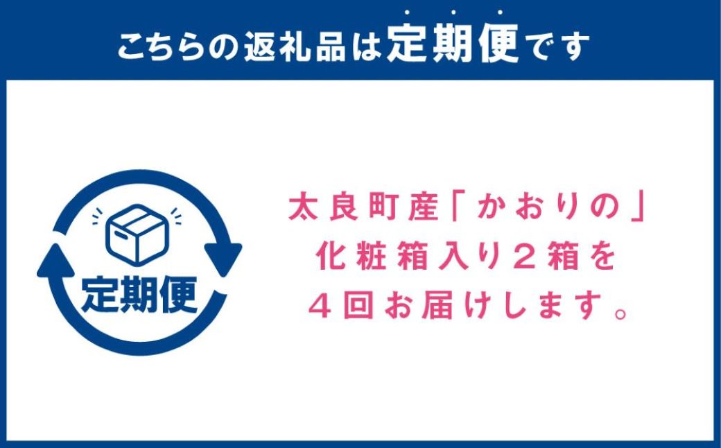 R28x1 太良町産「かおりの」定期便４回コース　生産者直送！朝採り苺！【2026年11月下旬-2027年4月下旬】
