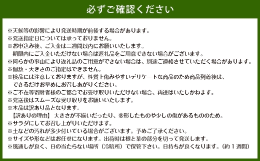 訳あり 佐賀県太良町産牟田農園の春の新玉ねぎ5kg サイズおまかせ