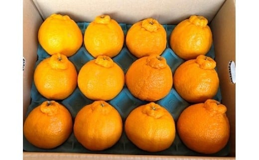 まちなが家族農園の不知火（しらぬい）3kg 【2026年3月下旬～5月下旬まで順次発送予定】 みかん 温州みかん 完熟みかん 不知火 しらぬい 甘い不知火 デコポン 品種 佐賀県 太良町 L60x1