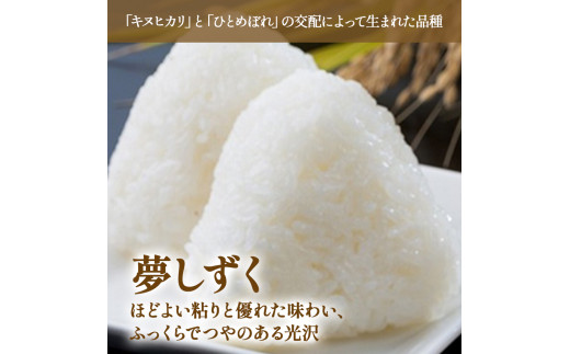 【先行予約】牟田農園の夢しずく 10kg （5kg×2袋） 【令和8年産】 ＜精米＞ 新米 予約 令和7年 米 夢しずく 10kg 5kg 牟田農園 佐賀県太良町産 佐賀県 太良町 PE12x1