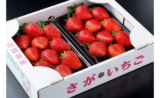 N239-01 黒酢いちご（ゆめのか）平パック 260g×2パック 黒酢いちご 黒酢苺 黒酢イチゴ いちご 苺 イチゴ ストロベリー ゆめのか 甘い 美味しい おいしい 太良町 佐賀 冷蔵品