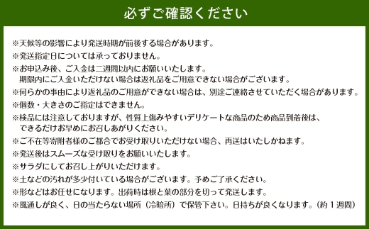 佐賀県太良町産 ～ 牟田農園の春の新玉ねぎ 5kg （ S ）