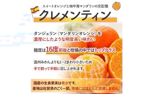 山本農園のクレメンティン 6kg （3kg × 2箱） 【2026年3月上旬迄順次発送予定】 クレメンティン 希少 ヨーロッパ生まれ スペイン原産 太良みかん みかん ミカン 蜜柑 フルーツ くだもの 果物 太良町 国産 甘い 美味しい 佐賀県 太良町 NC9x1