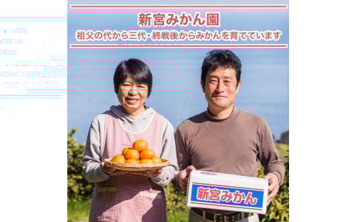 新宮みかん園 はるか 4kg 【2026年2月上旬～6月上旬発送予定】 フルーツ 果物 柑橘 国産 日向夏 新宮みかん園 佐賀県 太良町 L57x1