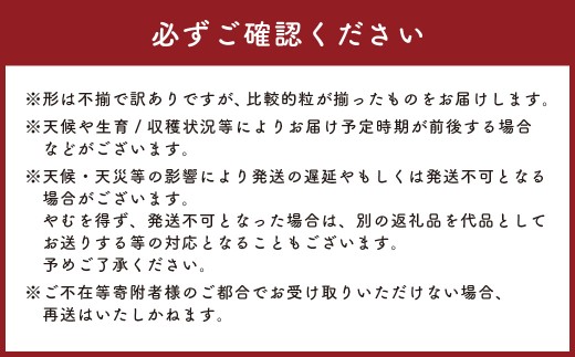 【訳あり】かねひろの黒酢ブラックシャインマスカット~富士の輝き(約700g×2房)