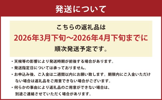 【訳あり】 中尾農園の夢みるみかん 不知火 （サイズ不揃い） 5kg 【2026年3月下旬～4月下旬まで順次発送予定】 みかん ミカン 蜜柑 柑橘 フルーツ くだもの 果物 不知火 ビタミン豊富 国産 月の引力が見える町 さがみかん 太良みかん 夢みるみかん おいしい 減農薬 濃厚 ギフト 贈答品 贈り物 佐賀県 太良町 N259x1