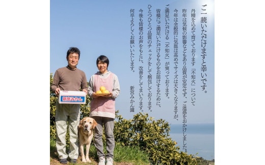 新宮みかん園の不知火 L～3Lサイズ 約3㎏ 【2026年4月上旬～6月上旬発送予定】 みかん ミカン 蜜柑 不知火みかん しらぬい デコポン でこぽん 温州みかん 完熟みかん 国産 佐賀県産 太良町 期間限定 詰め合わせ L58x1