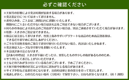 【訳あり】牟田農園の春の新玉ねぎ10kg （M～L）