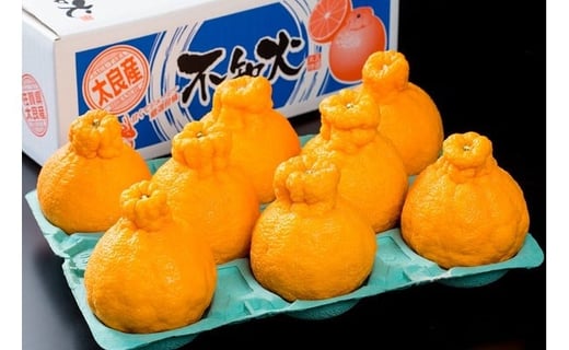 多良岳の恵みで育てたタラデコ（不知火）3kg 【2026年3月上旬～5月下旬発送予定】 太良町 太良みかん みかん王国 不知火 しらぬい ハウスしらぬい デコポン でこぽん ポンカン ぽんかん 椪柑 3kg (5L～L) こだわりの栽培 M70x1