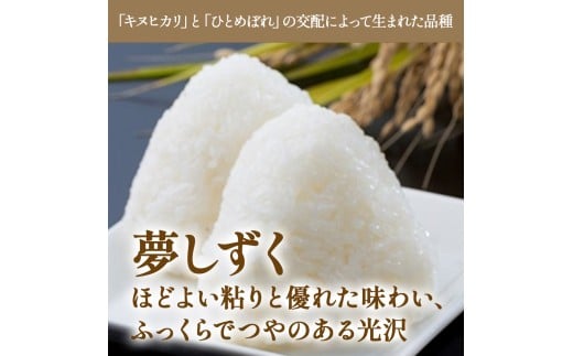 【先行予約】牟田農園の夢しずく5kg （5kg×1袋） 【令和8年産】 <精米> 米 お米 白米 ご飯 精米 国産 夢しずく 牟田農園 佐賀県太良町産 佐賀県 太良町 O185x1
