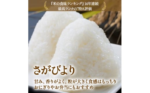 【先行予約】牟田農園のさがびより 10kg （5kg×2袋） 【令和8年産】 ＜精米＞ 新米 米 さがびより 牟田農園 佐賀県 太良町 P114x1