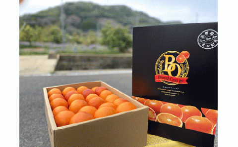 N-119 山内農園のブラッドオレンジ　５ｋｇ