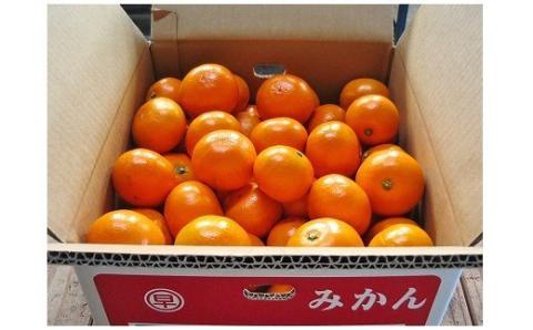 おひさまおれんじ7kg おひさまおれんじ 7kg 希少 温州みかん 早生 温州 みかん ミカン 蜜柑 温州蜜柑 温州ミカン フルーツ くだもの 果物 ミネラル豊富 太良町 国産 人気 おすすめ 早津みかん園 ギフト 盛田温州 濃厚 ジューシー 甘い