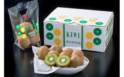 Q-44 体が喜ぶ☆キウイフルーツ定期便３回コース