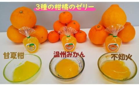 N-232 幸せな味がする手づくりこんにゃくゼリー