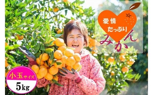 愛情たっぷりたらみかん（小玉）5kg　みかん ミカン 蜜柑 たらみかん 太良みかん 温州みかん 完熟みかん 甘熟 柑橘 国産 佐賀県産 太良町 こだわり 有機栽培 産地直送 贈答品 詰め合わせ 極甘 小玉