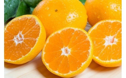 潮風の贈り物 みかん（小玉) ５㎏　みかん ミカン 蜜柑 温州みかん 完熟みかん 甘熟 柑橘 有機栽培 国産 佐賀県産 太良町 こだわり 贈答品 産地直送 詰め合わせ 小玉