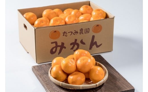 辰見農園の完熟みかん　５ｋｇ　みかん ミカン 蜜柑 温州みかん 完熟みかん 甘熟 柑橘 有機栽培 国産 こだわり ノーワックス 贈答品 産地直送 詰め合わせ 佐賀県産 太良町