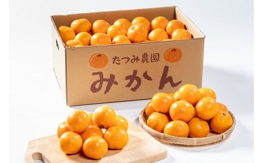 辰見農園の完熟みかん（小玉）５ｋｇ