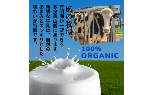 しぼりたて生乳で作った濃厚ミルクジェラート 2個セット  ジェラート シャーべット アイスクリーム アイス 生乳 ミルク ジェラート クリーミー デザート 氷菓子 スイーツ 濃厚 冷凍 佐賀県 太良町